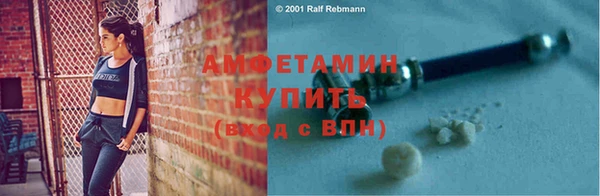 индика Кукмор