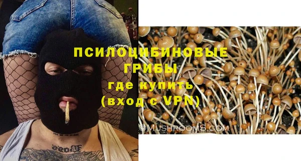 apvp Козловка