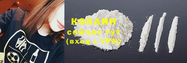 2c-b Козельск