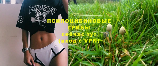 тгк Кодинск