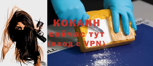 2c-b Козельск