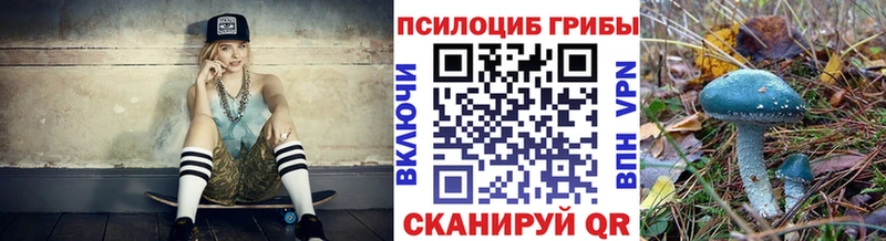 Псилоцибиновые грибы ЛСД  Химки 