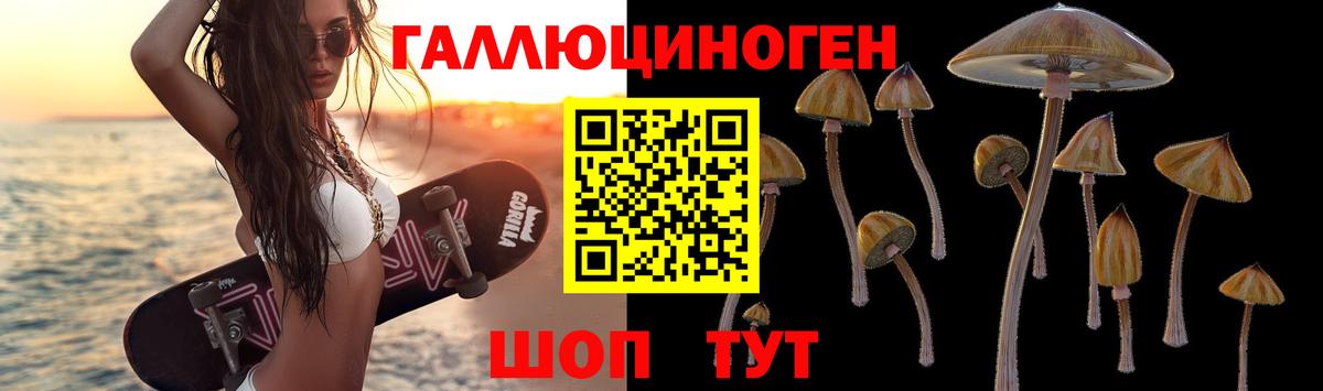 Химки  Галлюциногенные грибы Cubensis  Вход с VPN  Псилоцибиновые грибы Cubensis 