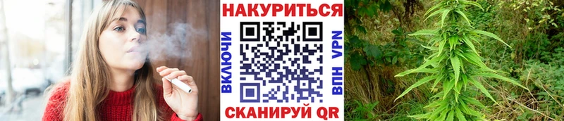 гидра сайт  Химки  Канабис SATIVA & INDICA 